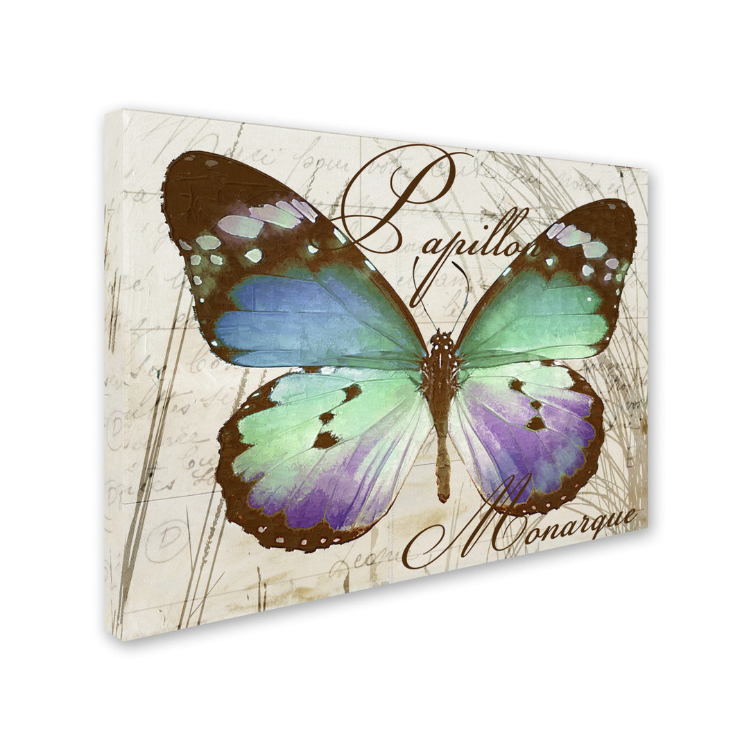 Color Bakery Papillon I 14 x 19 Canvas Art Image 3