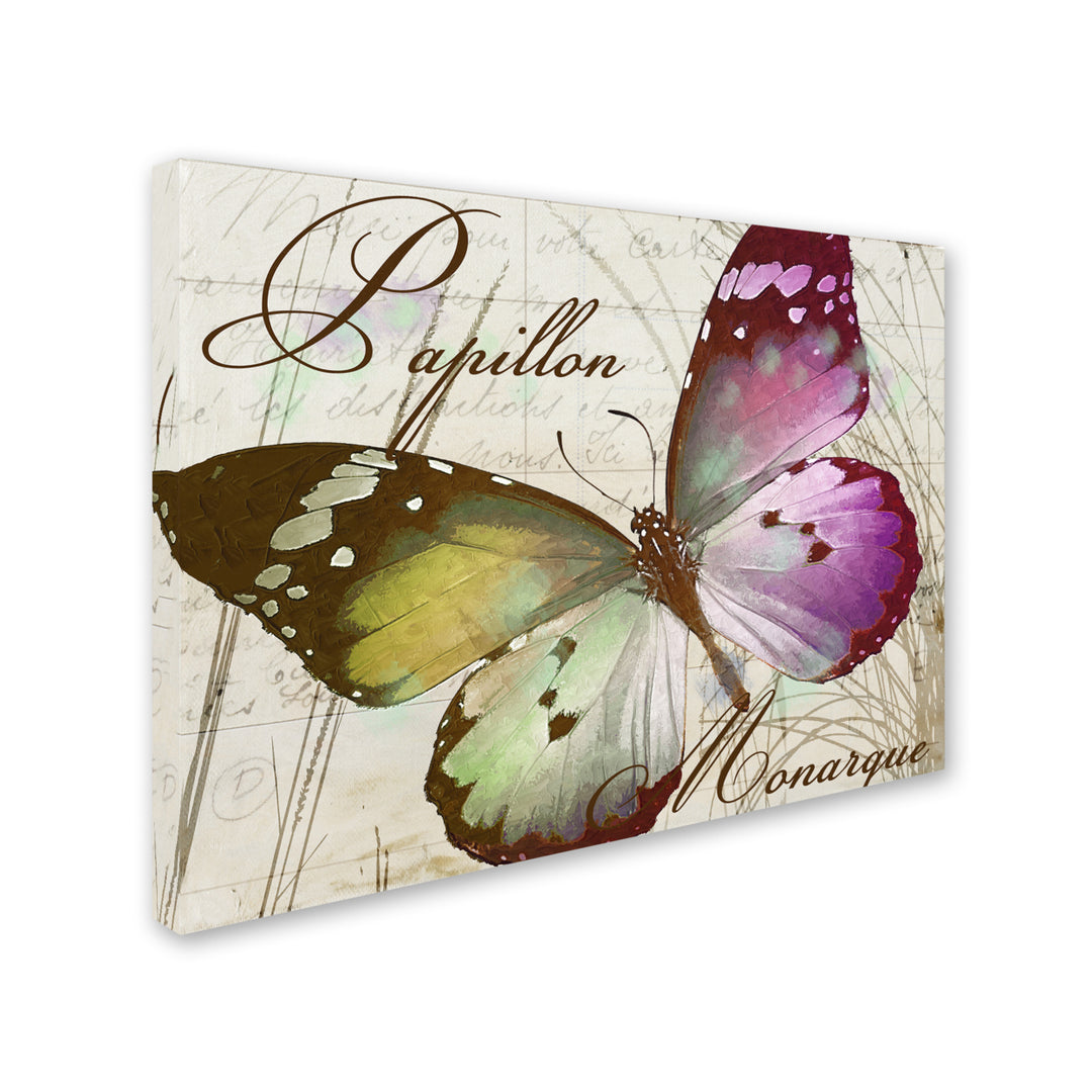 Color Bakery Papillon II 14 x 19 Canvas Art Image 3