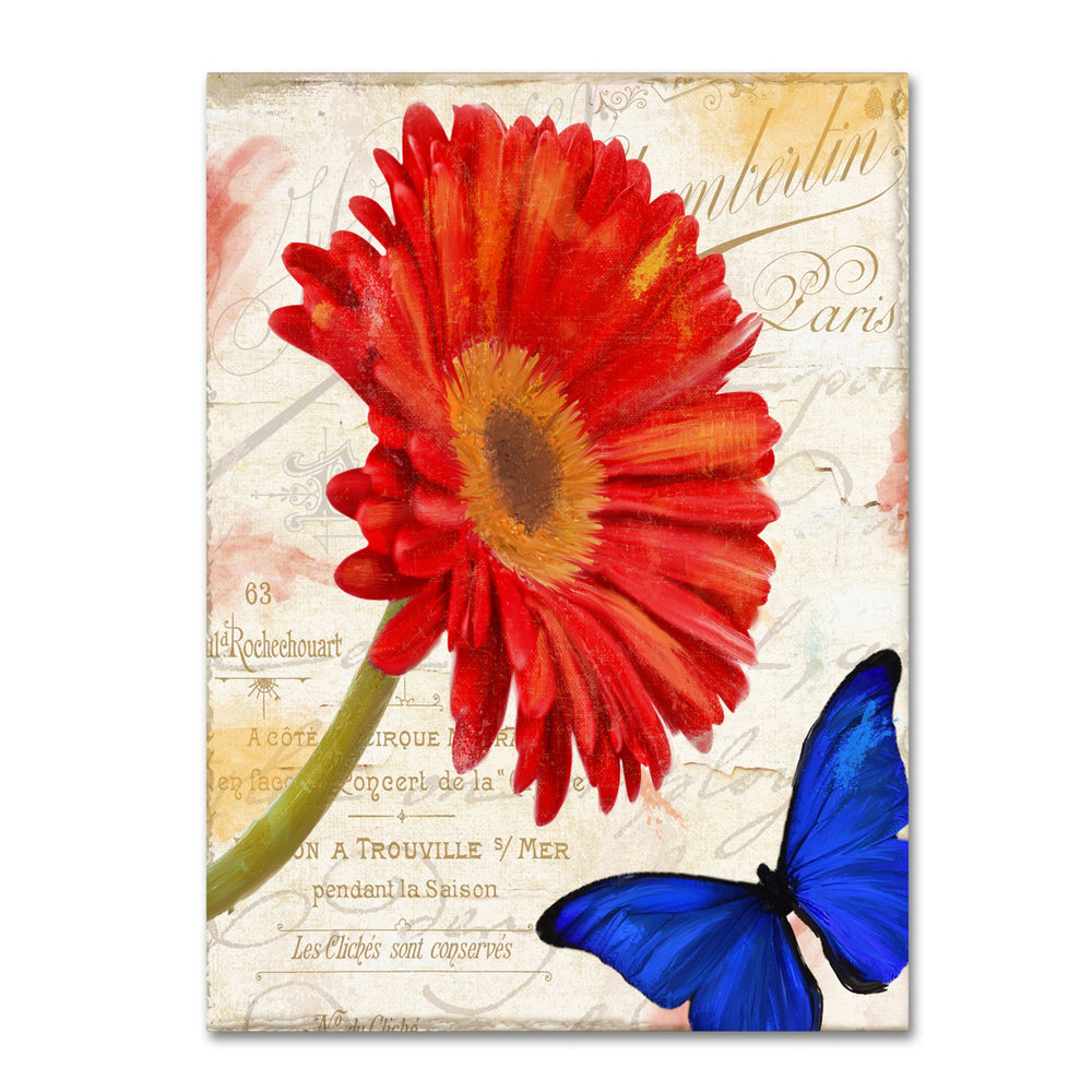 Color Bakery Gerbera Daisy 14 x 19 Canvas Art Image 2