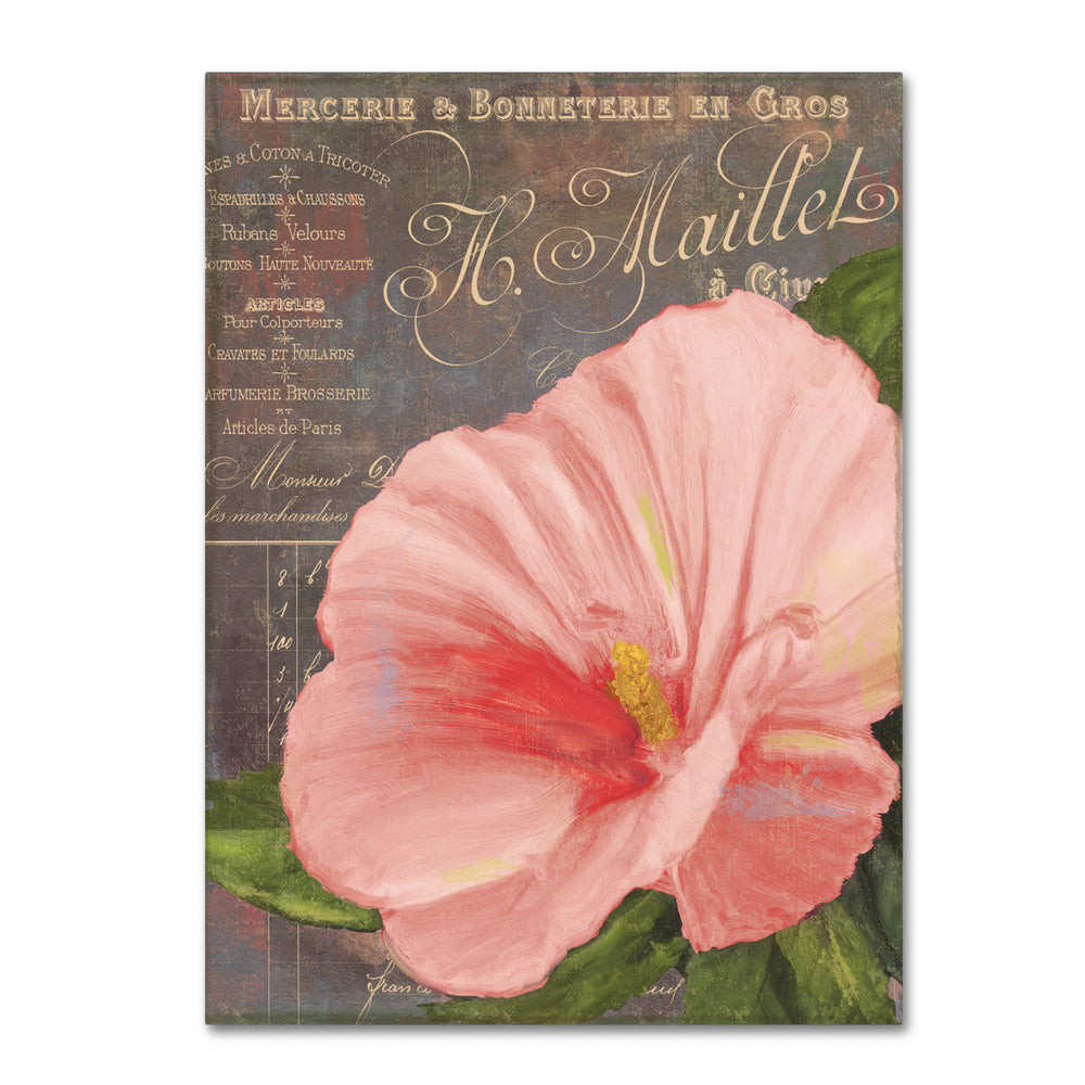 Color Bakery Peach Hibiscus 14 x 19 Canvas Art Image 2