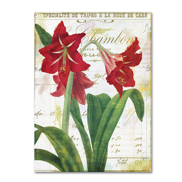 Color Bakery Peppermint Amaryllis 14 x 19 Canvas Art Image 1