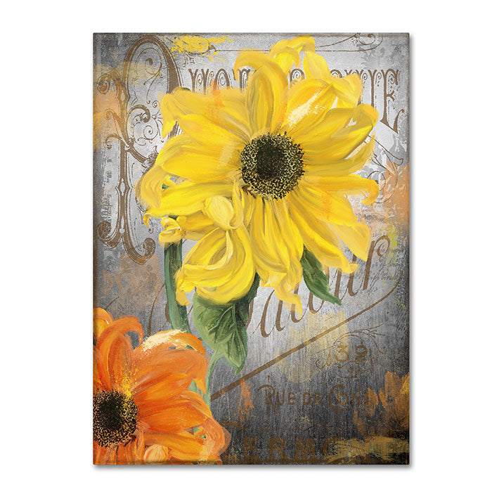 Color Bakery Sunflower Studio 14 x 19 Canvas Art Image 1