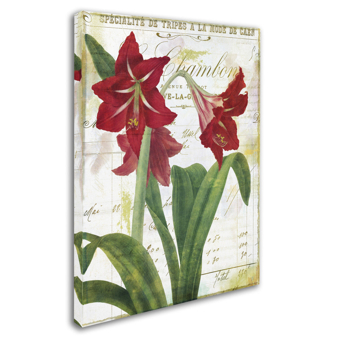 Color Bakery Peppermint Amaryllis 14 x 19 Canvas Art Image 3