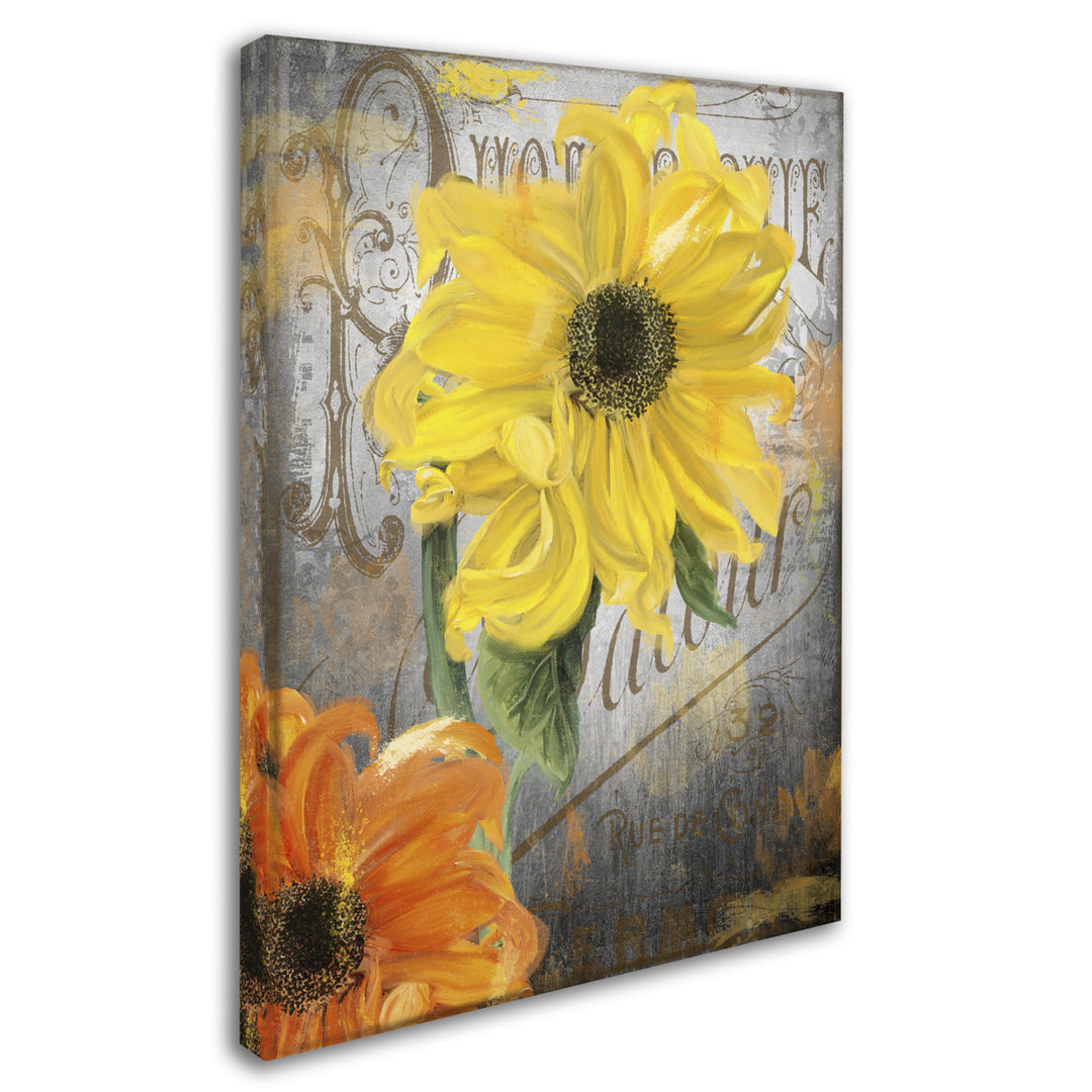 Color Bakery Sunflower Studio 14 x 19 Canvas Art Image 3