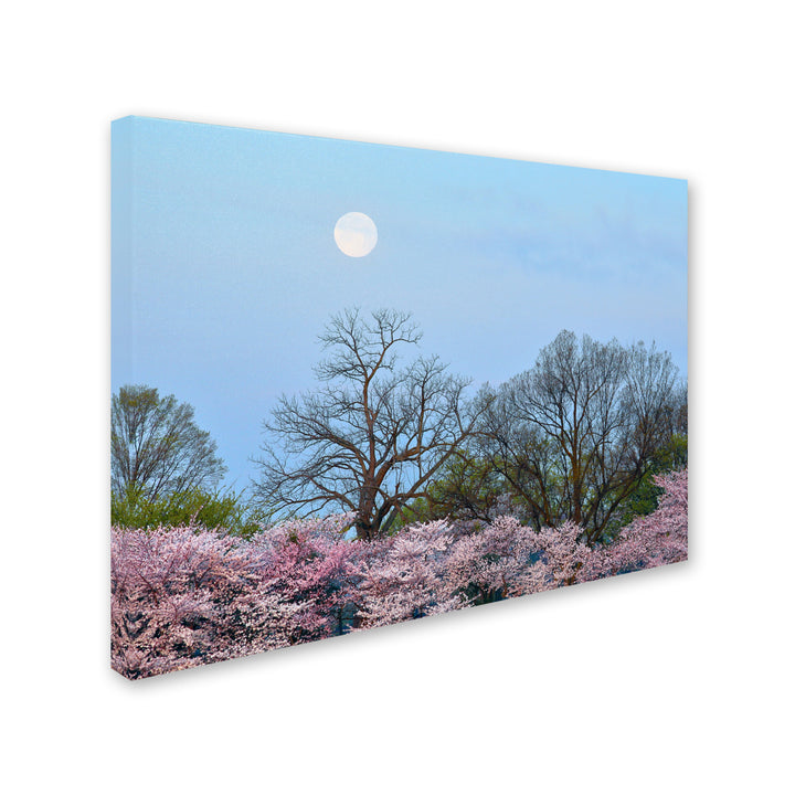 CATeyes Spring Moon 2 14 x 19 Canvas Art Image 3