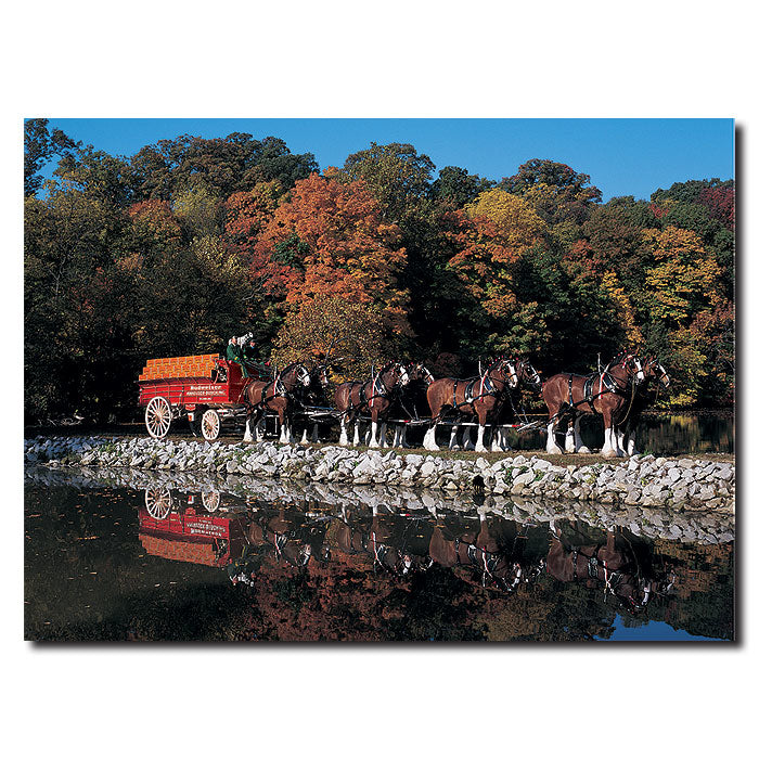 Clydesdales in Fall by Stone Pond 14 x 19 Canvas Art Image 1