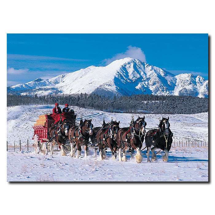 Clydesdales in Snow Covered Mountains 14 x 19 Canvas Art Image 1