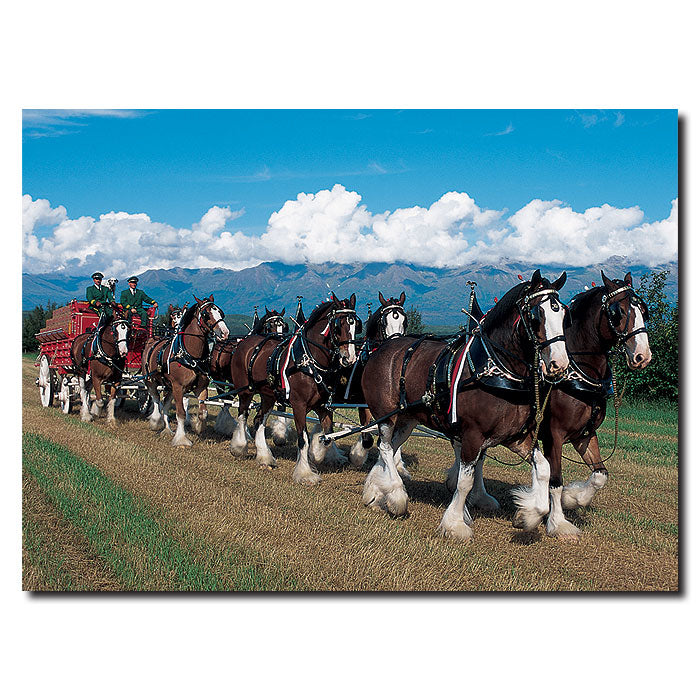 Clydesdales in Blue Sky Mountains 14 x 19 Canvas Art Image 1