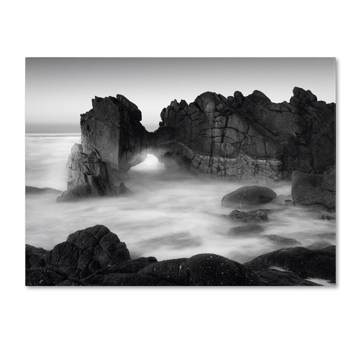 Moises Levy Gate 14 x 19 Canvas Art Image 1