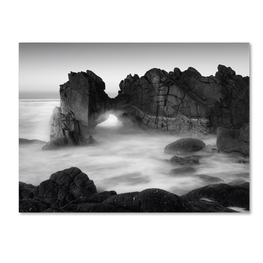 Moises Levy Gate 14 x 19 Canvas Art Image 2