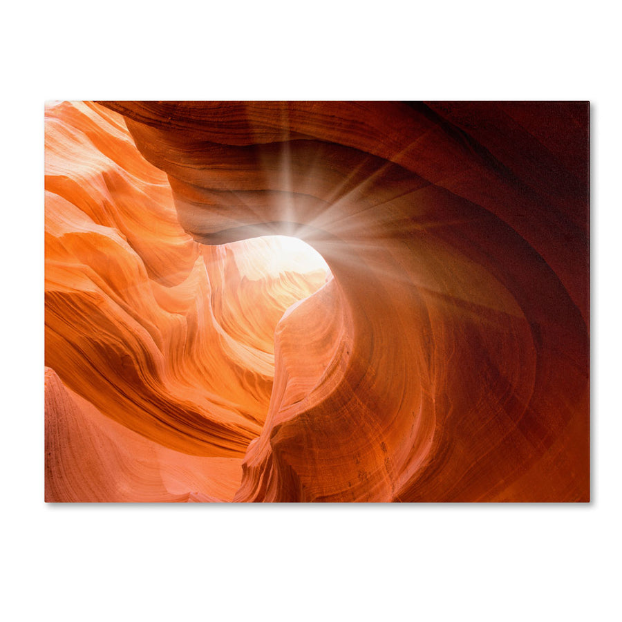 Moises Levy Searching Light II 14 x 19 Canvas Art Image 1