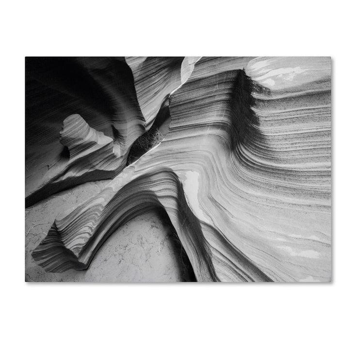 Moises Levy Snake Canyon 14 x 19 Canvas Art Image 1