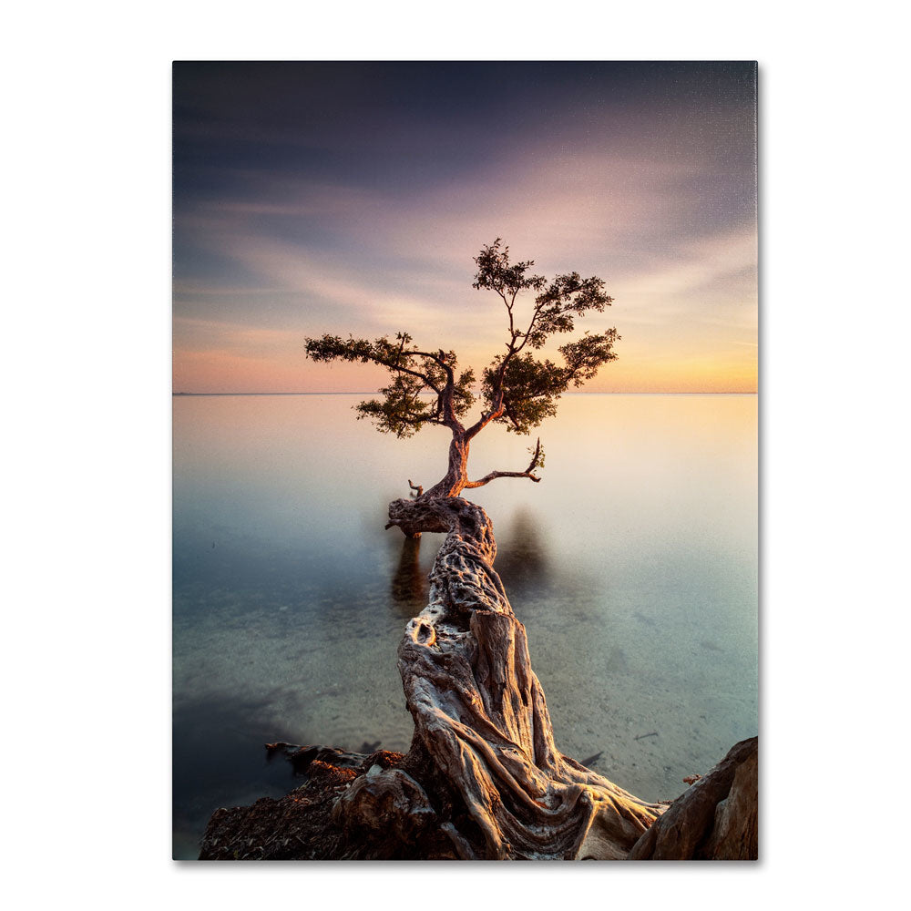 Moises Levy Water Tree III 14 x 19 Canvas Art Image 1