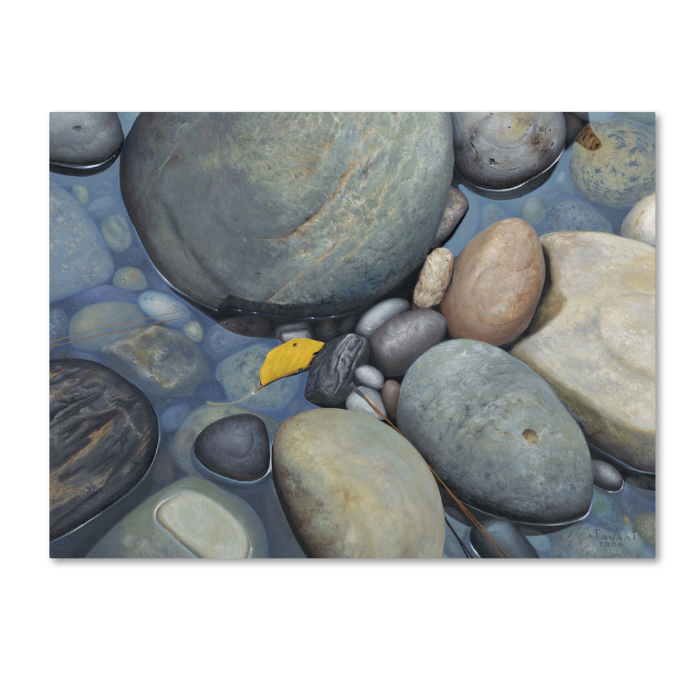 Stephen Stavast Reflections on a Gray Day 14 x 19 Canvas Art Image 2