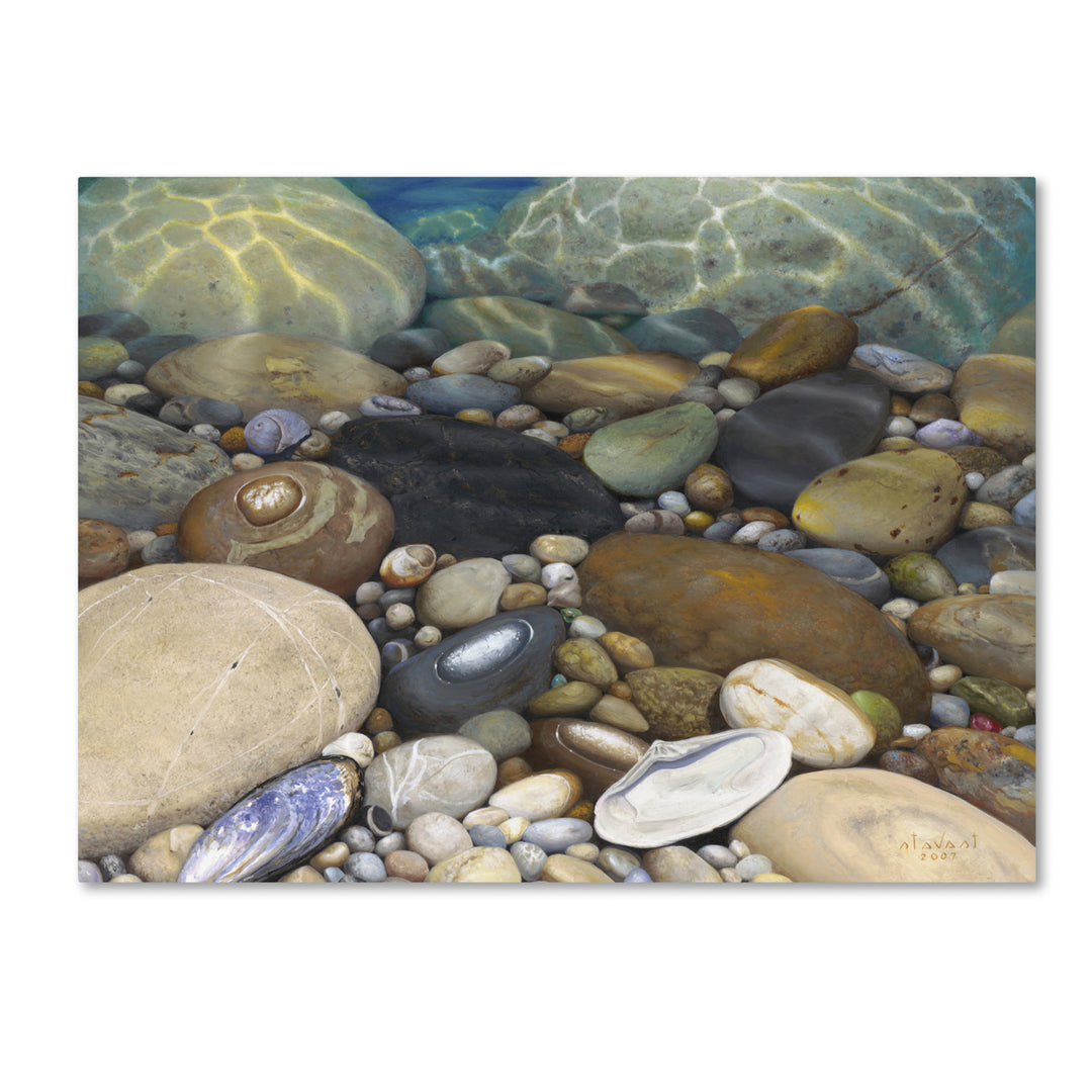 Stephen Stavast Shoreline Treasures 14 x 19 Canvas Art Image 2