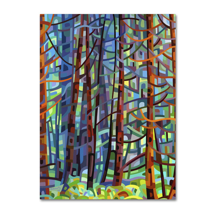 Mandy Budan In A Pine Forest 14 x 19 Canvas Art Image 1