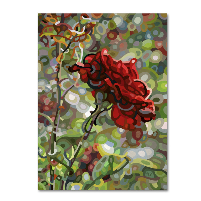 Mandy Budan Last Rose Of Summer 14 x 19 Canvas Art Image 1