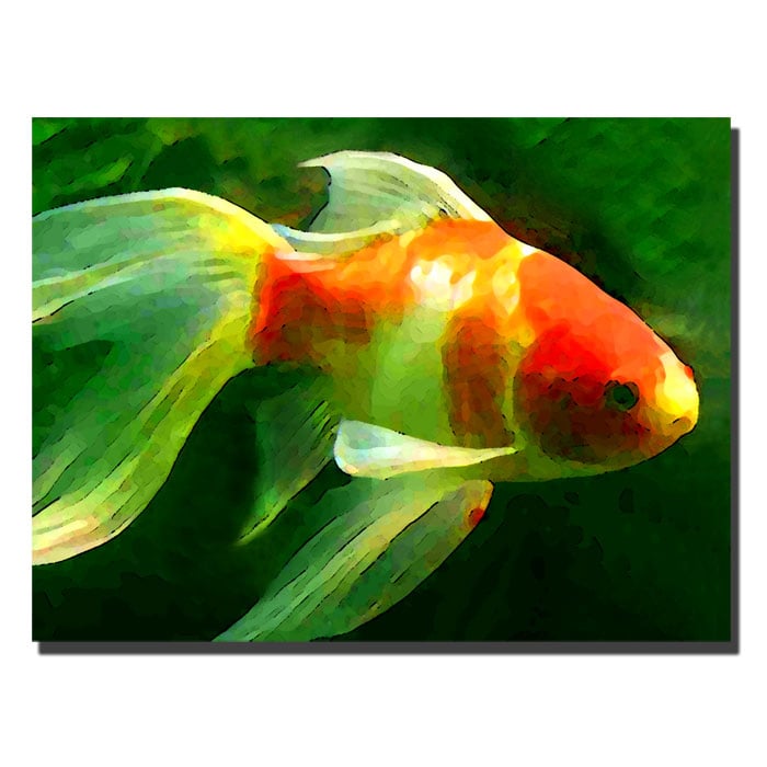 Amy Vangsgard Goldfish 14 x 19 Canvas Art Image 1