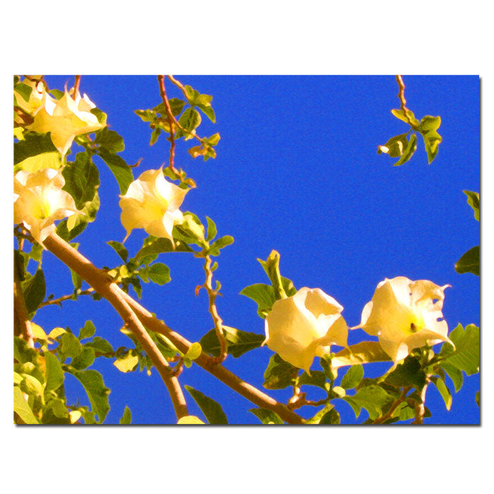 Amy Vangsgard Flowering Tree 14 x 19 Canvas Art Image 1