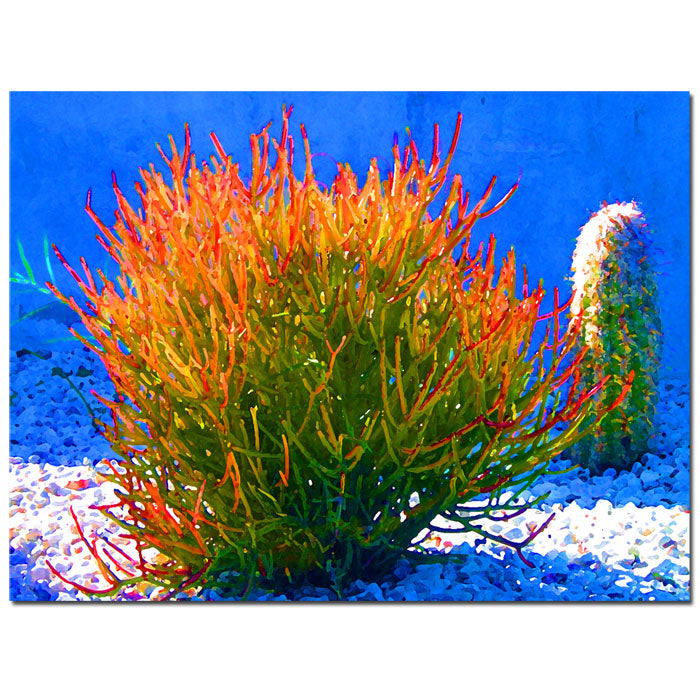 Amy Vangsgard Firesticks on Blue 14 x 19 Canvas Art Image 1