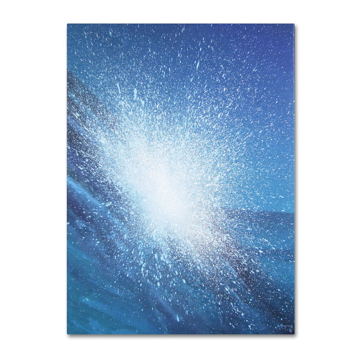 Alan Byrne Sea Picture VI 2008 14 x 19 Canvas Art Image 1