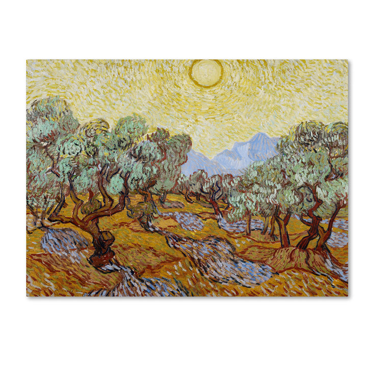 Vincent van Gogh Olive Trees 1889 14 x 19 Canvas Art Image 1