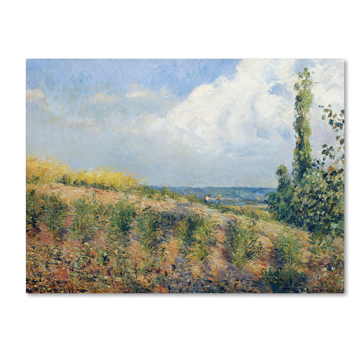 Camille Pissarro The Approaching Storm 1877 14 x 19 Canvas Art Image 1