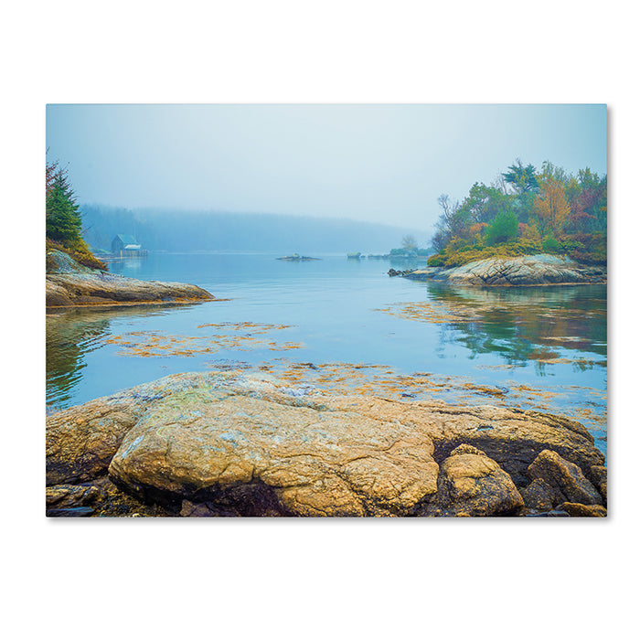 Preston Foggy Lake 14 x 19 Canvas Art Image 1