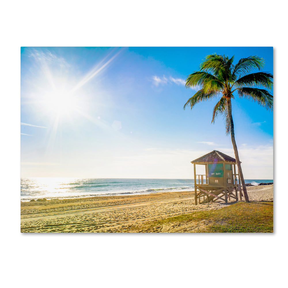 Preston Florida Beach Palm 14 x 19 Canvas Art Image 2