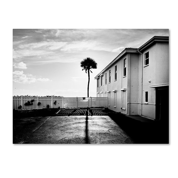 Preston Florida Lone Palm 14 x 19 Canvas Art Image 1