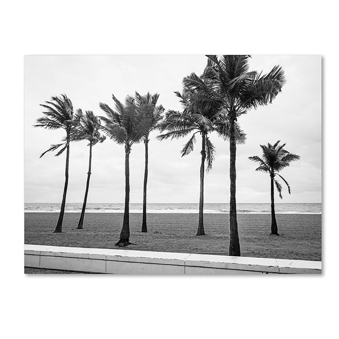 Preston Florida BW Beach Palms 14 x 19 Canvas Art Image 1