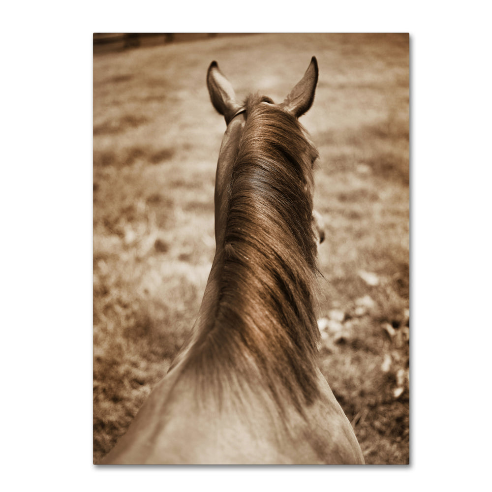 Preston Kentucky Horsemane 14 x 19 Canvas Art Image 2