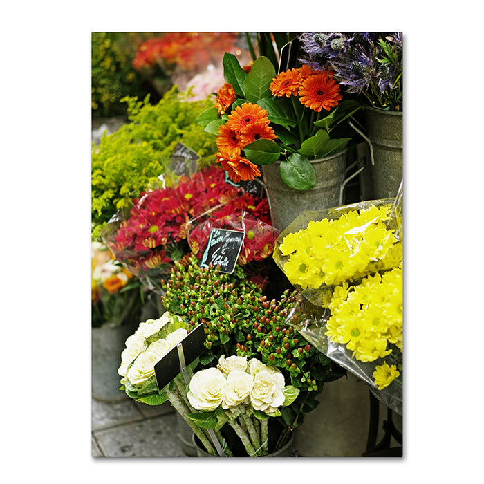 Preston Parisian Flowers 14 x 19 Canvas Art Image 1