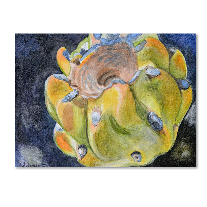 Jennifer Redstreake Cactus Fruit 14 x 19 Canvas Art Image 1