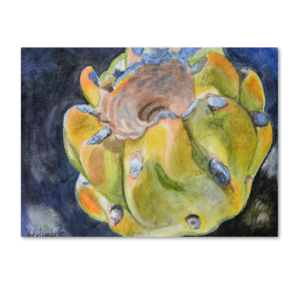 Jennifer Redstreake Cactus Fruit 14 x 19 Canvas Art Image 2