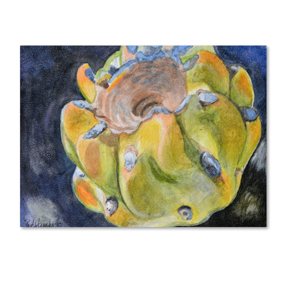 Jennifer Redstreake Cactus Fruit 14 x 19 Canvas Art Image 2