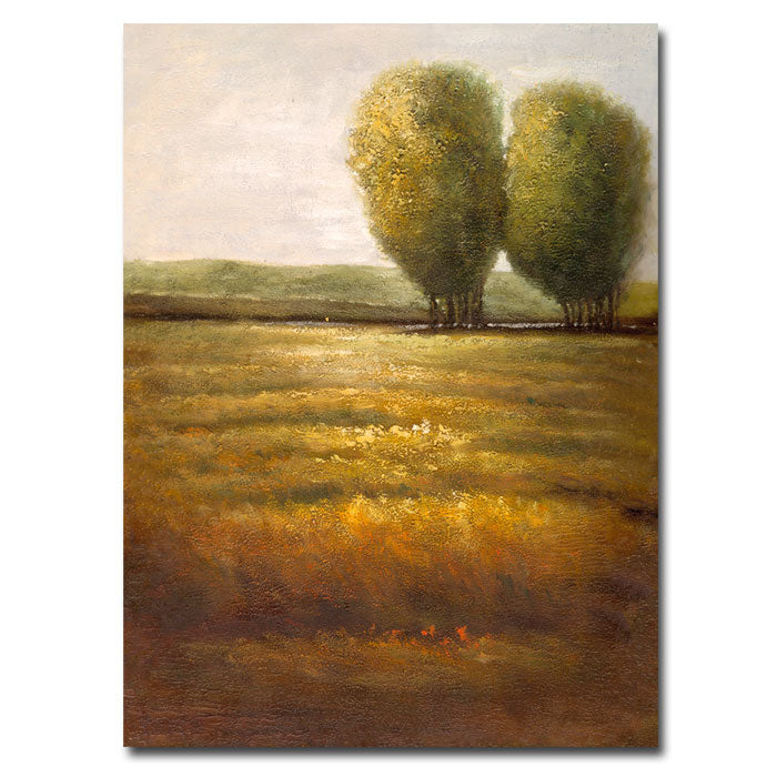 Joval In the Country III 14 x 19 Canvas Art Image 1