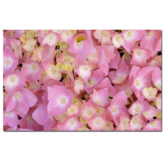 Kathie McCurdy Pink Hydrangea 14 x 19 Canvas Art Image 1