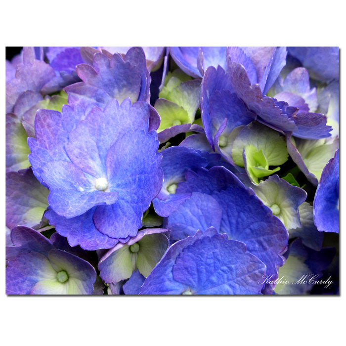 Kathie McCurdy Hydrangea 14 x 19 Canvas Art Image 1