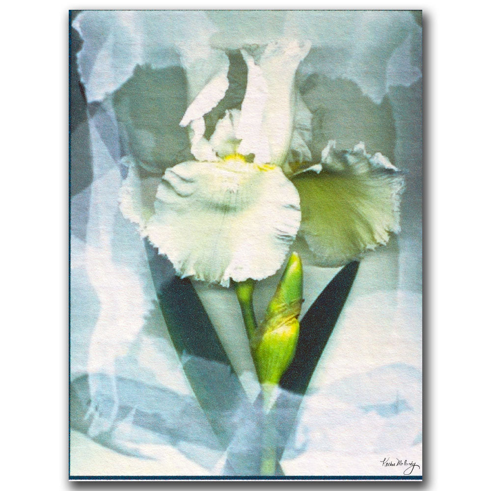 Kathie McCurdy Sheer White Iris 14 x 19 Canvas Art Image 1