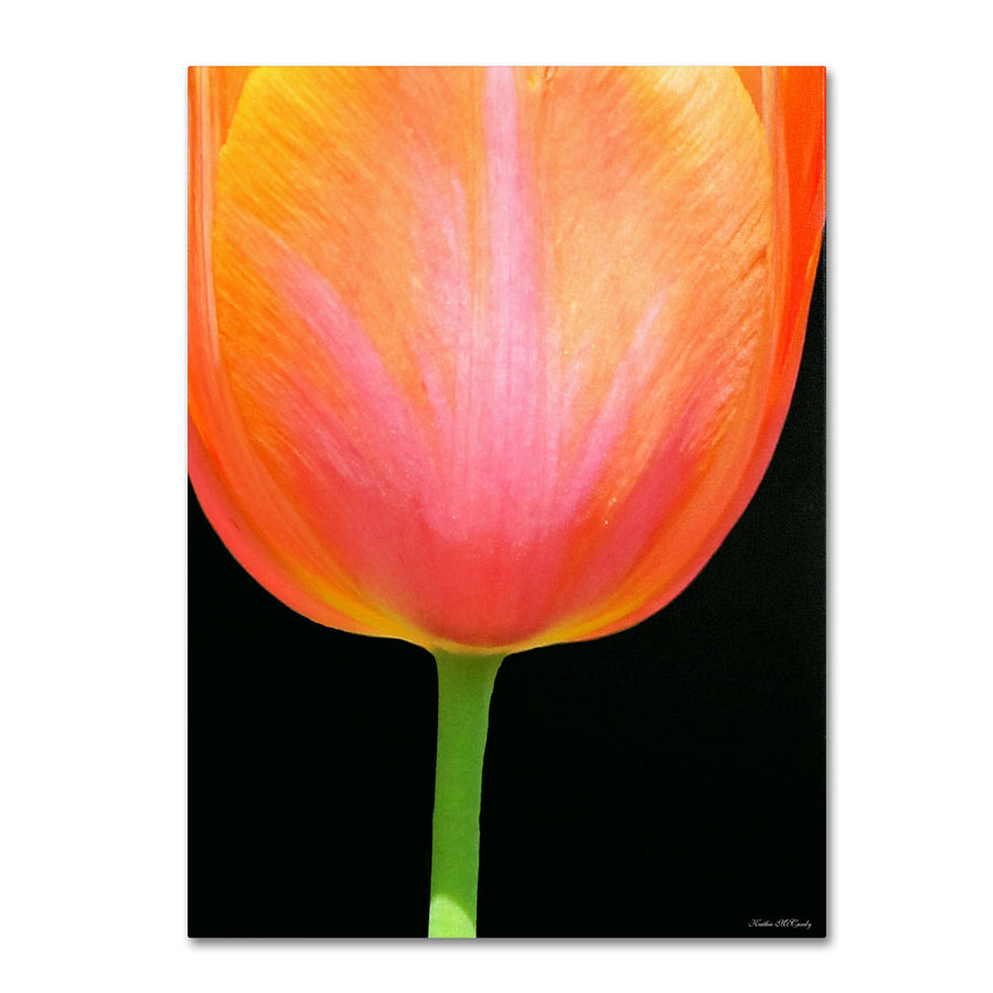 Kathie McCurdy Orange Tulip 14 x 19 Canvas Art Image 1