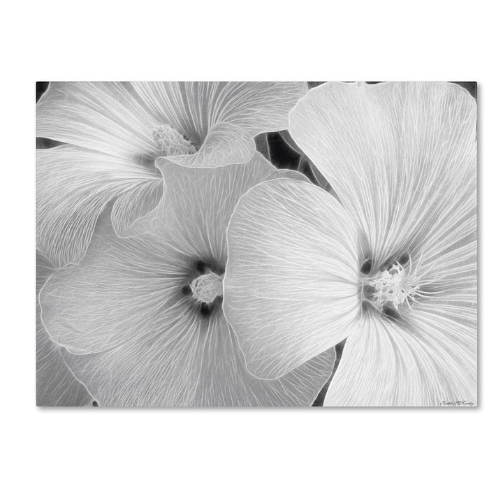 Kathie McCurdy Sheer Malva 14 x 19 Canvas Art Image 1