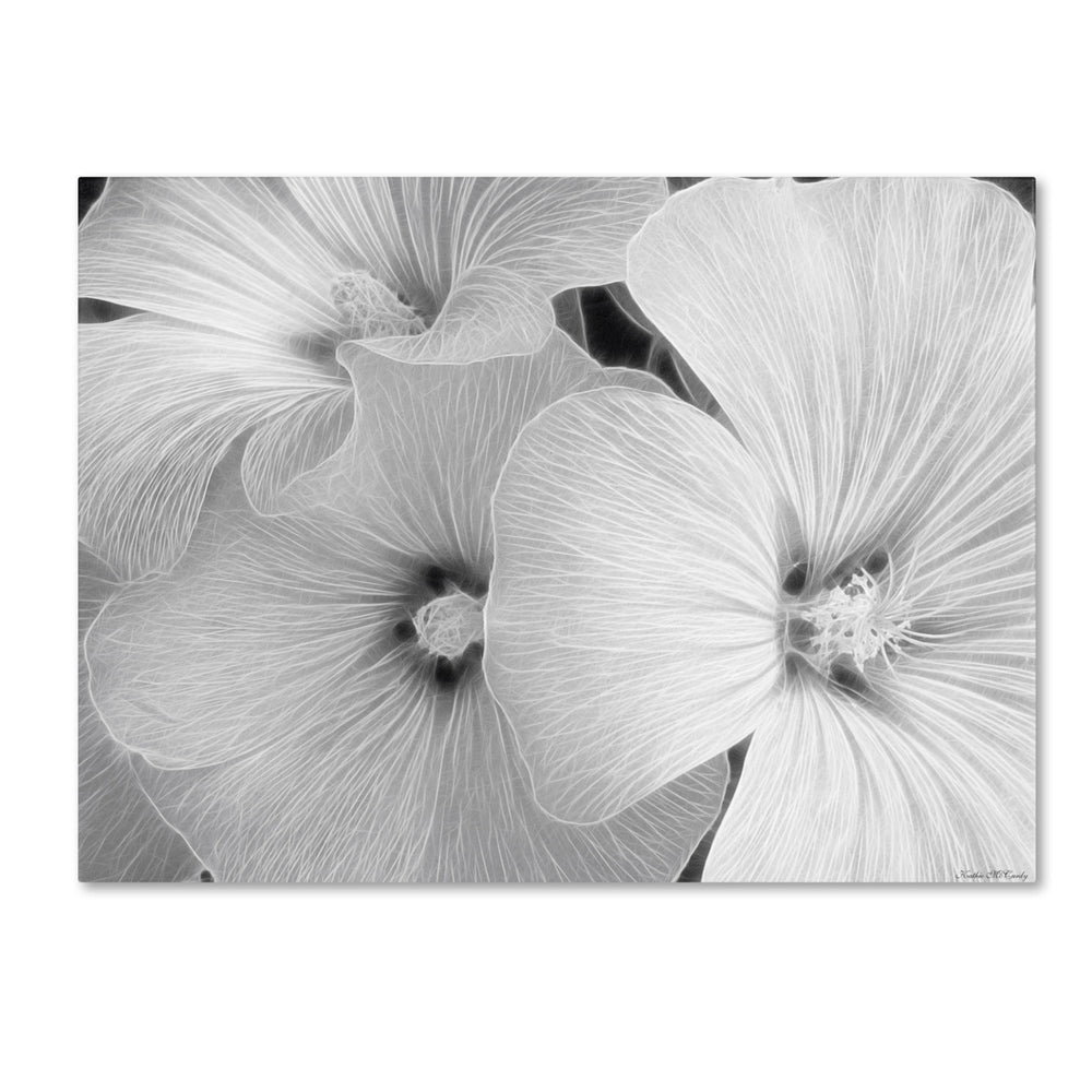 Kathie McCurdy Sheer Malva 14 x 19 Canvas Art Image 2