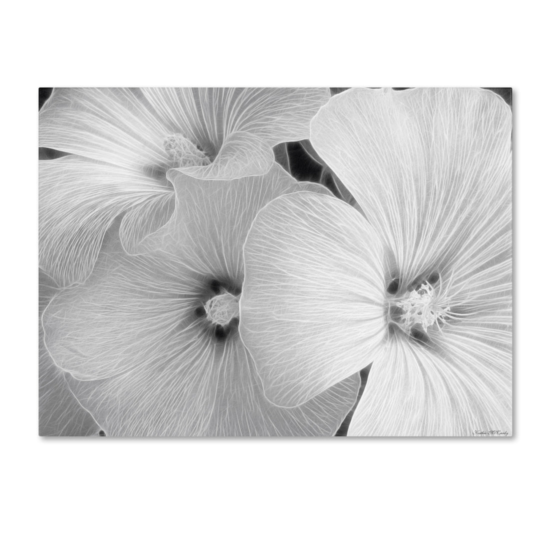 Kathie McCurdy Sheer Malva 14 x 19 Canvas Art Image 2