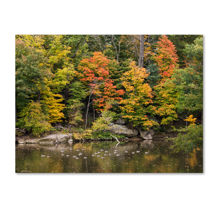 Kurt Shaffer Early Fall 14 x 19 Canvas Art Image 1