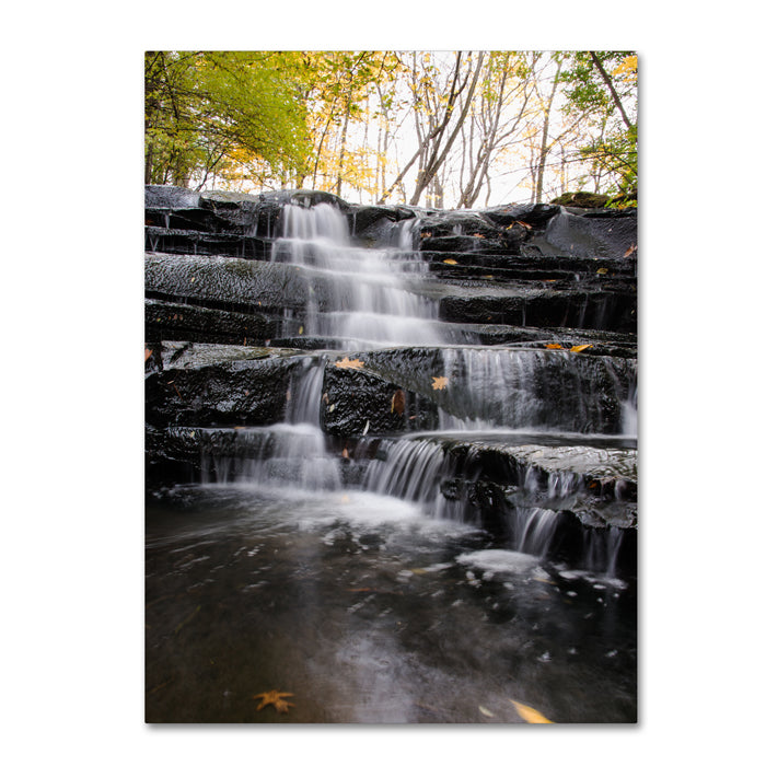 Kurt Shaffer Waterfall at Lake View 14 x 19 Canvas Art Image 1