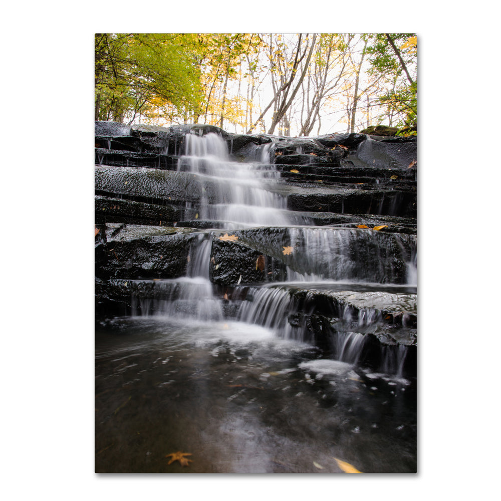 Kurt Shaffer Waterfall at Lake View 14 x 19 Canvas Art Image 2