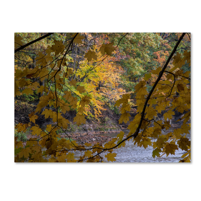 Kurt Shaffer Brilliant Ohio Autumn 14 x 19 Canvas Art Image 1