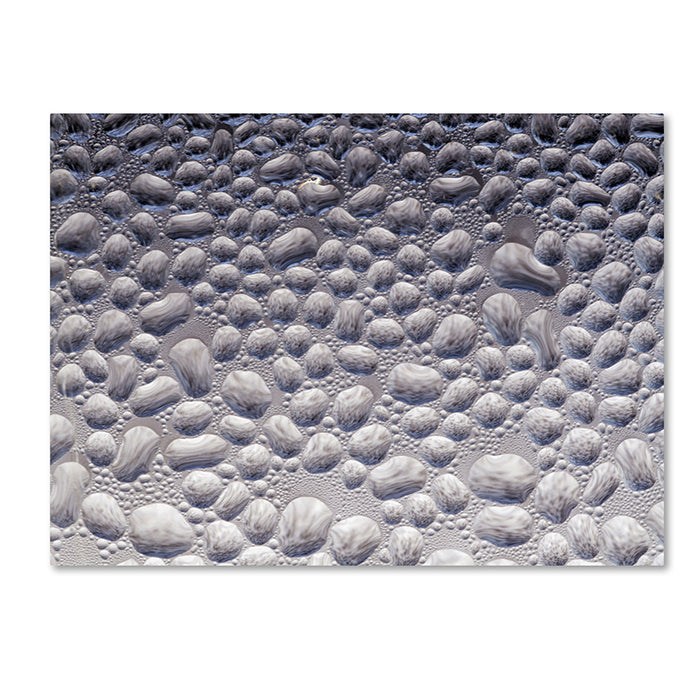Kurt Shaffer Condensation on a Cold Window 2 14 x 19 Canvas Art Image 1