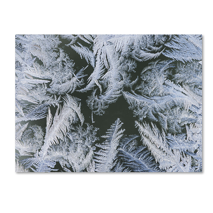 Kurt Shaffer Frost at Zero Degrees 14 x 19 Canvas Art Image 1